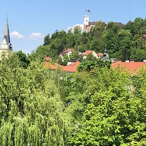 Appartement Castle View